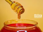 Khasiat Utama Madu Bagi Kesehatan Tubuh