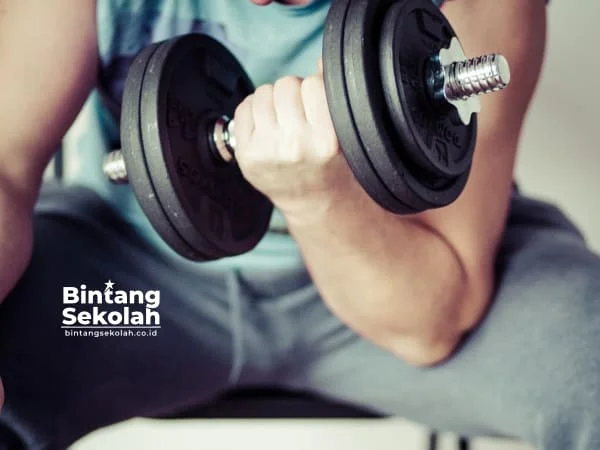Latihan Kekuatan Otot yang Efektif