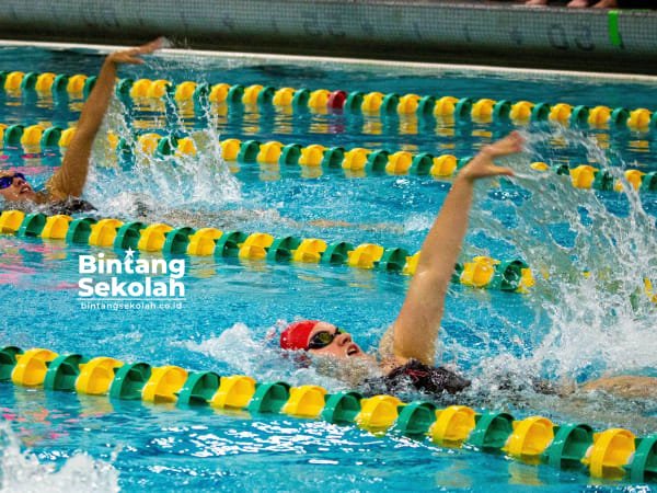 Soal Renang Gaya Punggung dan Kunci Jawabannya