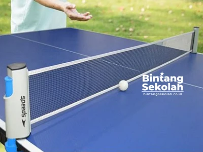 Net Tenis Meja