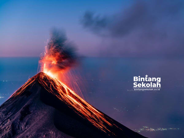 Fungsi dan Contoh Lembaga Penanggulangan Bencana di Indonesia